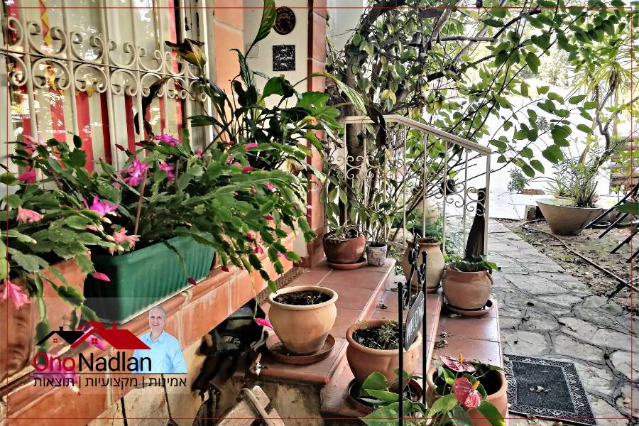 יחידת דיור להשכרה בנוה מונוסון